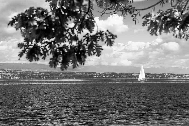 2020_08_18 (0012).jpg - Le lac Léman à Thonon Les Bains (Aout 2020)